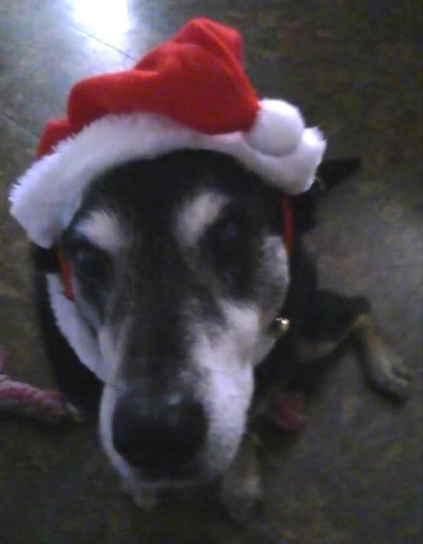 /Images/uploads/Humane Society of Utah/HSUCalendar/entries/1086thumb.jpg